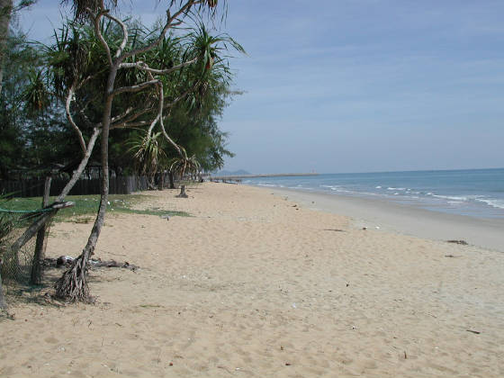 beach.jpg