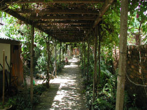 pergola.jpg